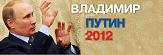 Выборы, Нет Путину